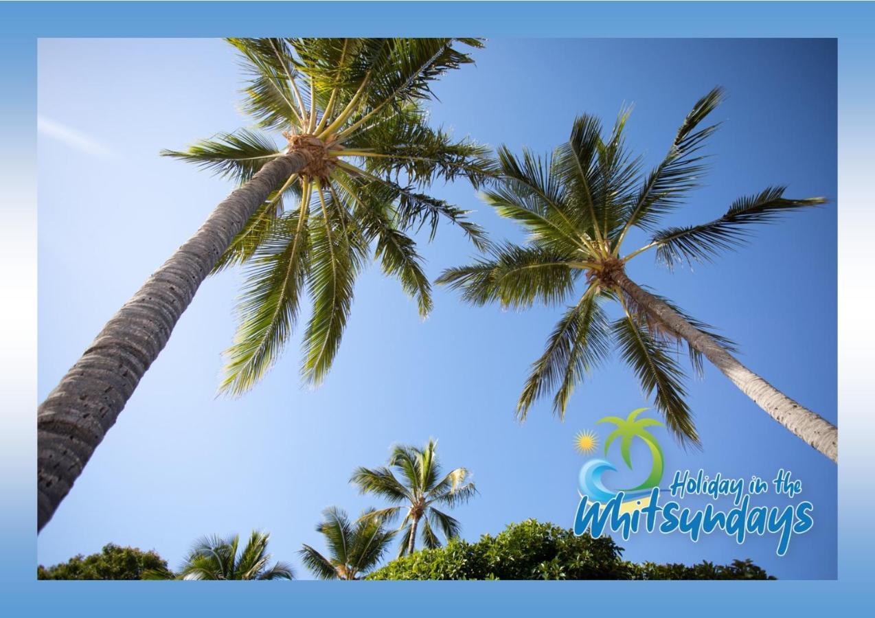Ocean Views 16 Pool & Spa Wi-Fi Airlie Beach Dış mekan fotoğraf